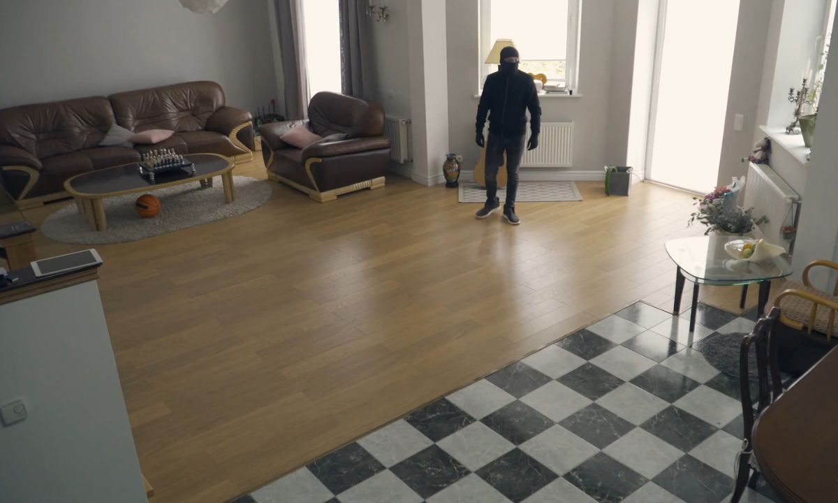 prikaz lopova u kući